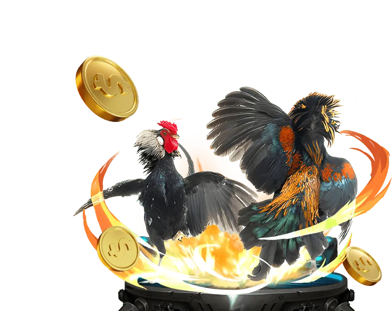 Chân dung chiến kê huyền thoại